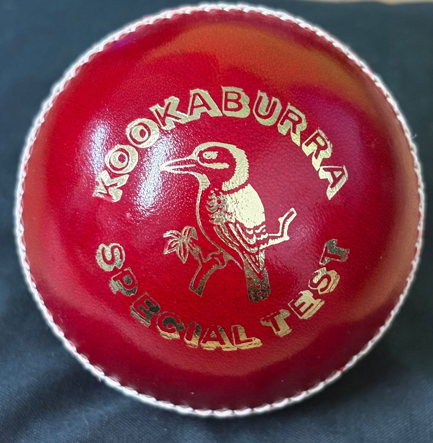England & Somerset Cricketer Shoaib Bashir Signed Red Cricket Ball + Dealer COA