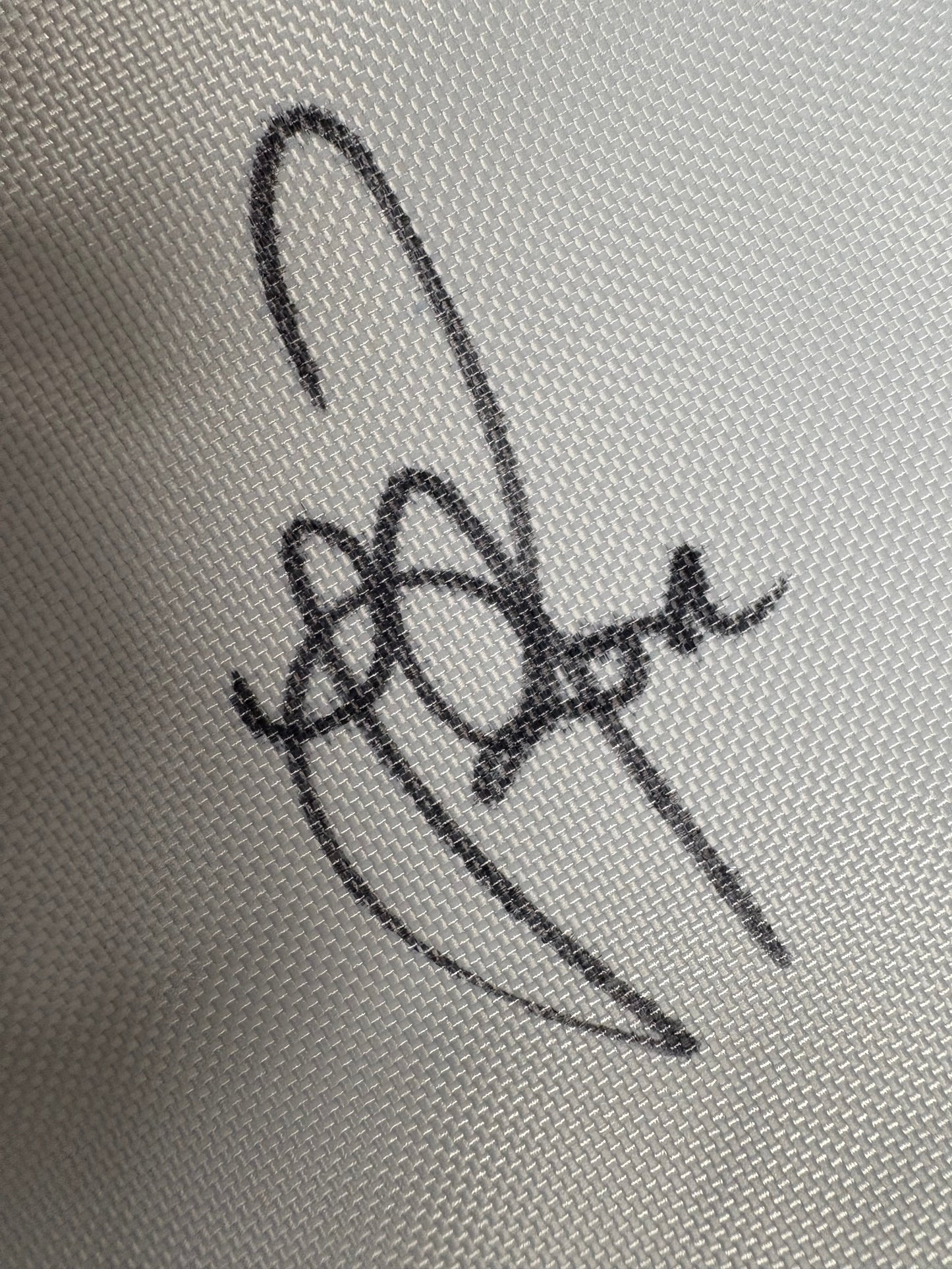 Justin Rose Signed Rio 2016 Olympic Golf Flag + Dealer COA