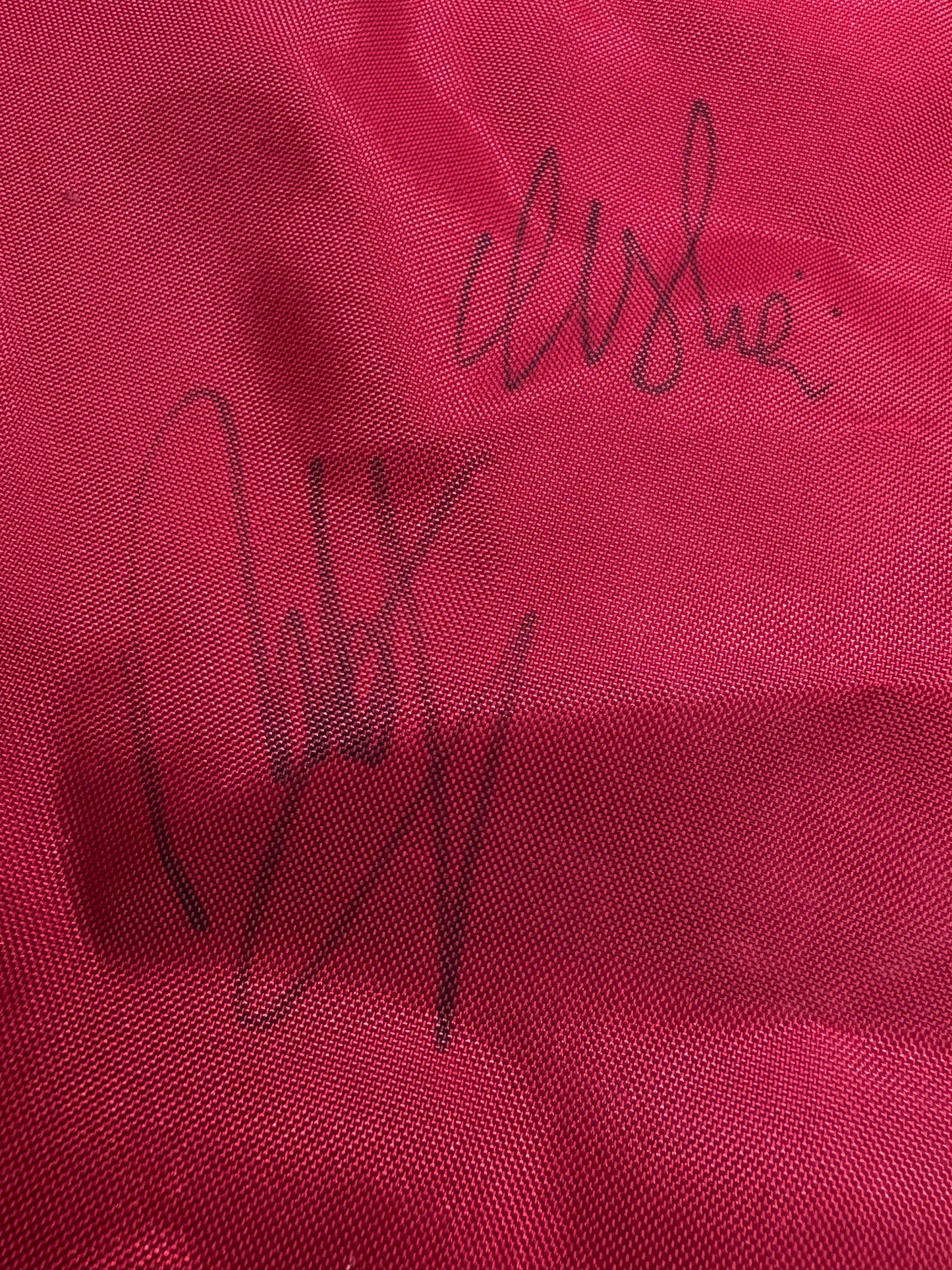 Francesco & Edoardo Molinari 2009 Golf World Cup Winners Signed Golf Flag + Cert