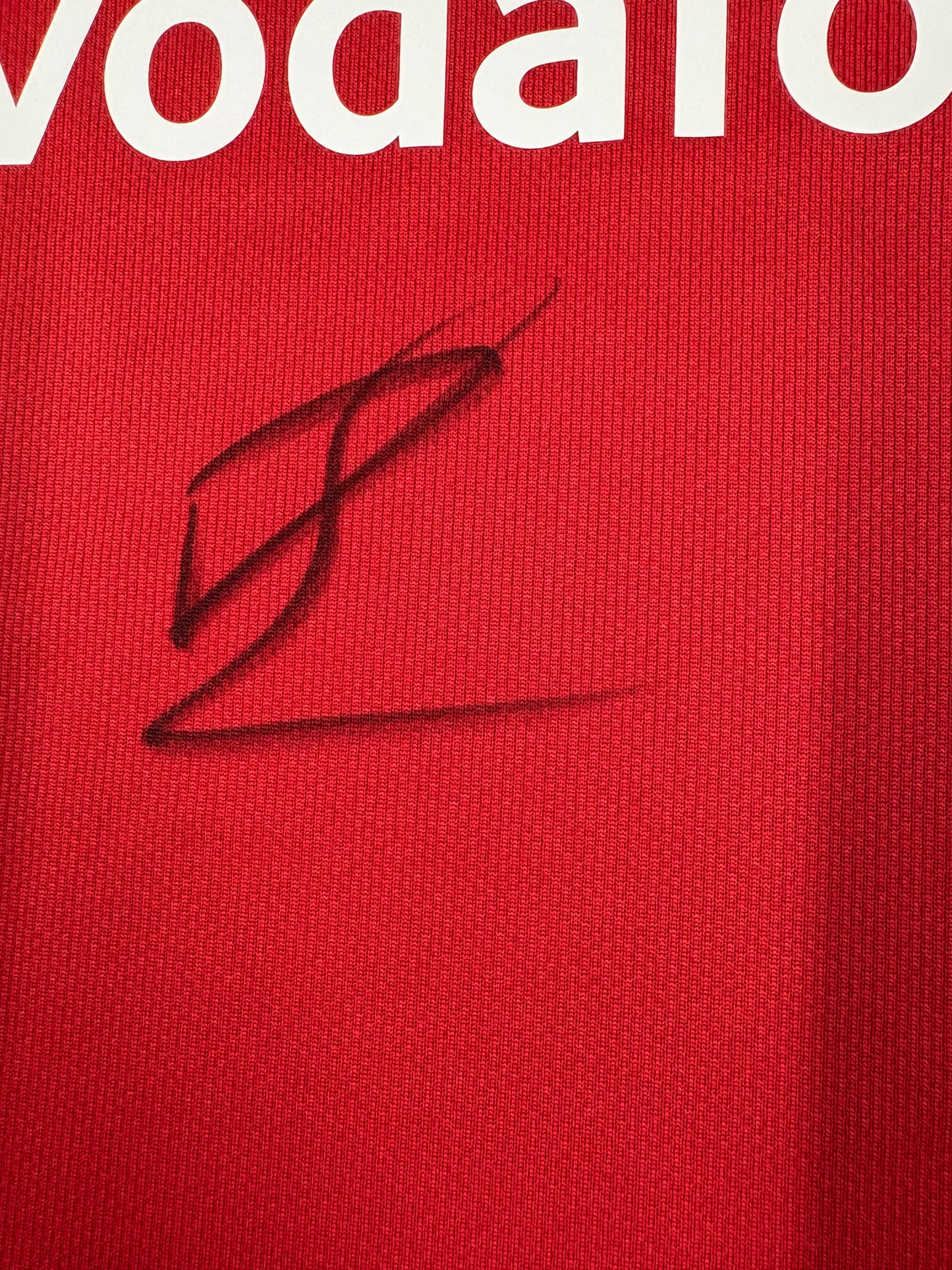 Toulon Player Dan Biggar Signed British & Irish Lions Rugby Union Shirt + Dealer COA