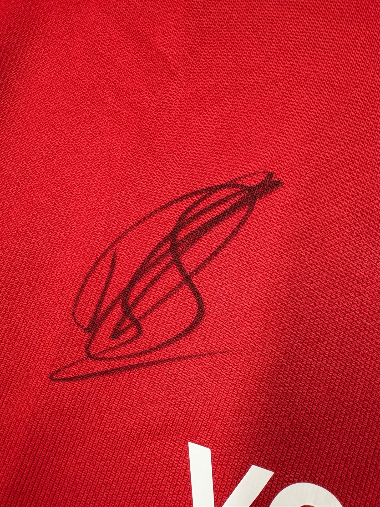 Toulon Player Dan Biggar Signed British & Irish Lions Rugby Union Shirt + Dealer COA