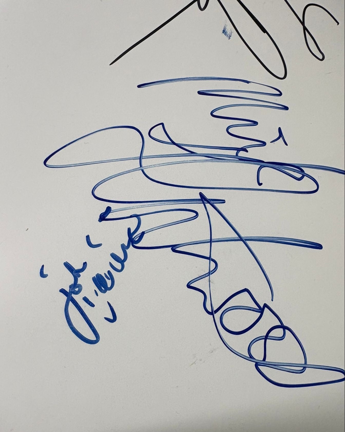 Mick Fleetwood, Lindsey Buckingham & John Mcvie 'Fleetwood Mac' Signed 10'' Drumskin + Cert