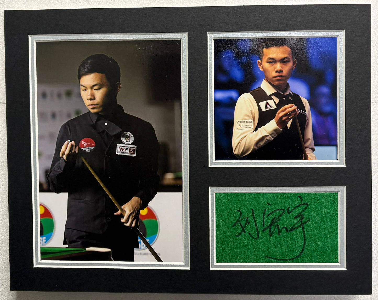 Professional Snooker Player Liu Hongyu Signed Table Baize Display + Dealer COA