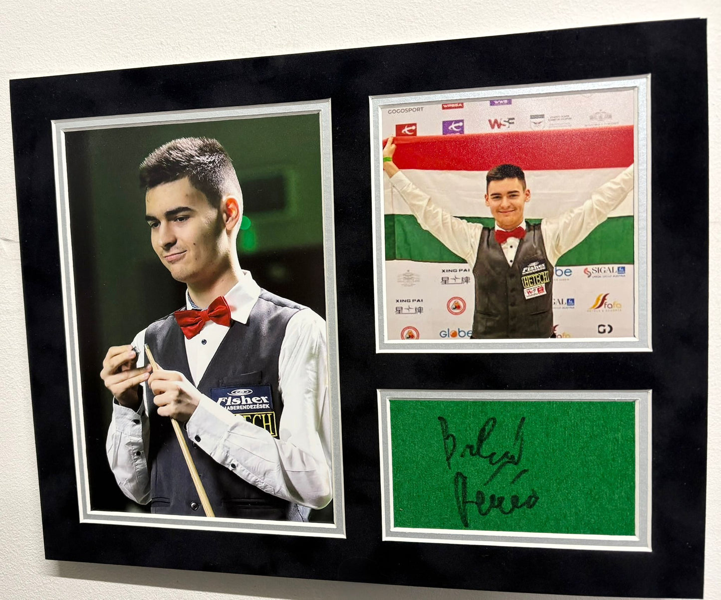 First Hungarian Professional Snooker Player Bulcsu Revesz Signed Table Baize Display + COA