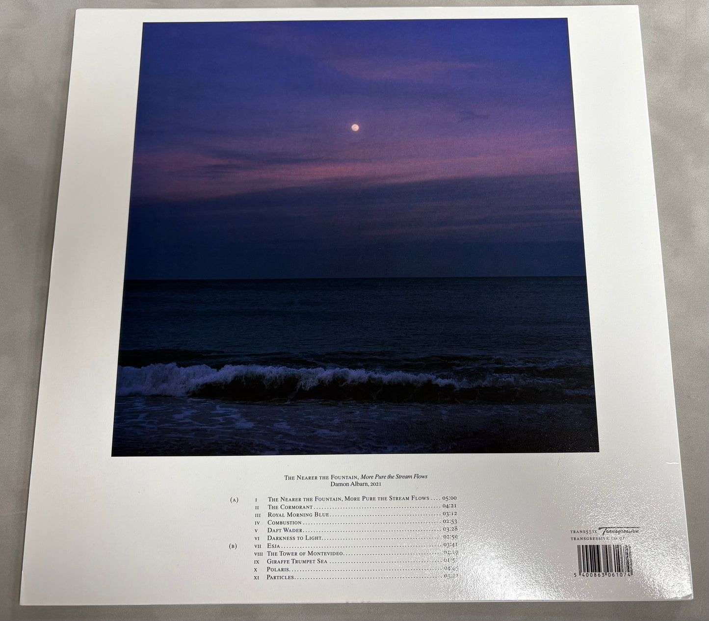 Damon Albarn Signed The Nearer the Fountain, More Pure the Stream Flows 12'' Vinyl with COA (1)