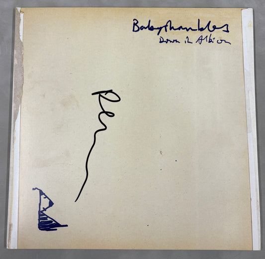 Peter Doherty 'Babyshambles' Signed Down in Albion 12'' Vinyl with COA