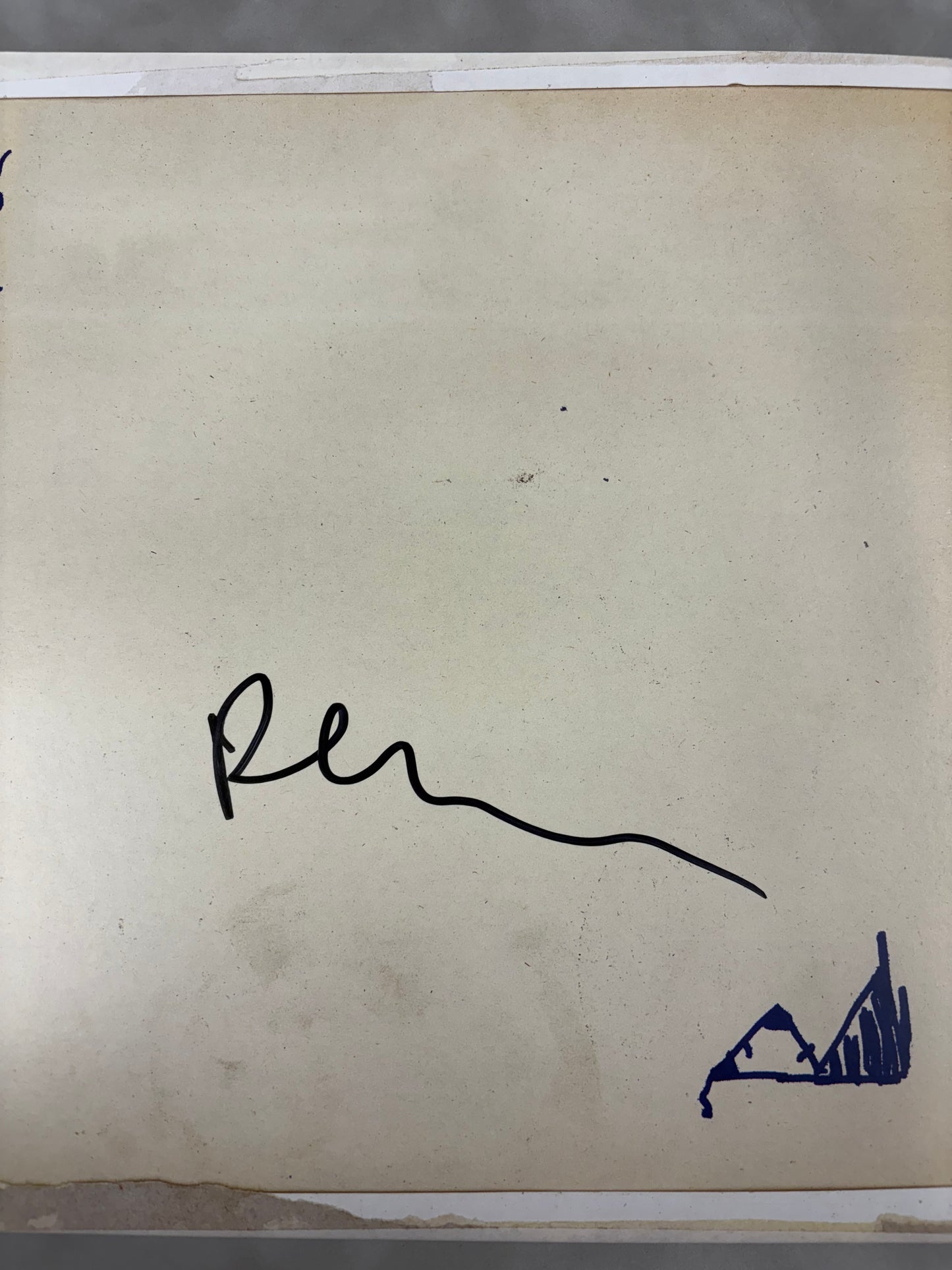 Peter Doherty 'Babyshambles' Signed Down in Albion 12'' Vinyl with COA