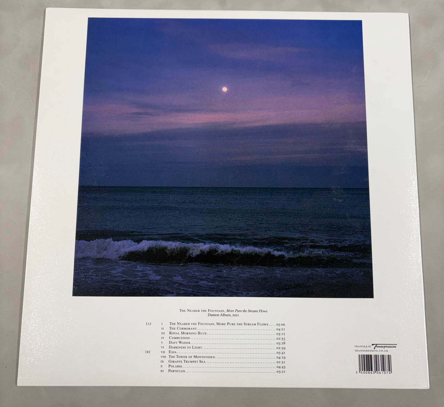 Damon Albarn Signed The Nearer the Fountain, More Pure the Stream Flows 12'' Vinyl with COA (2)