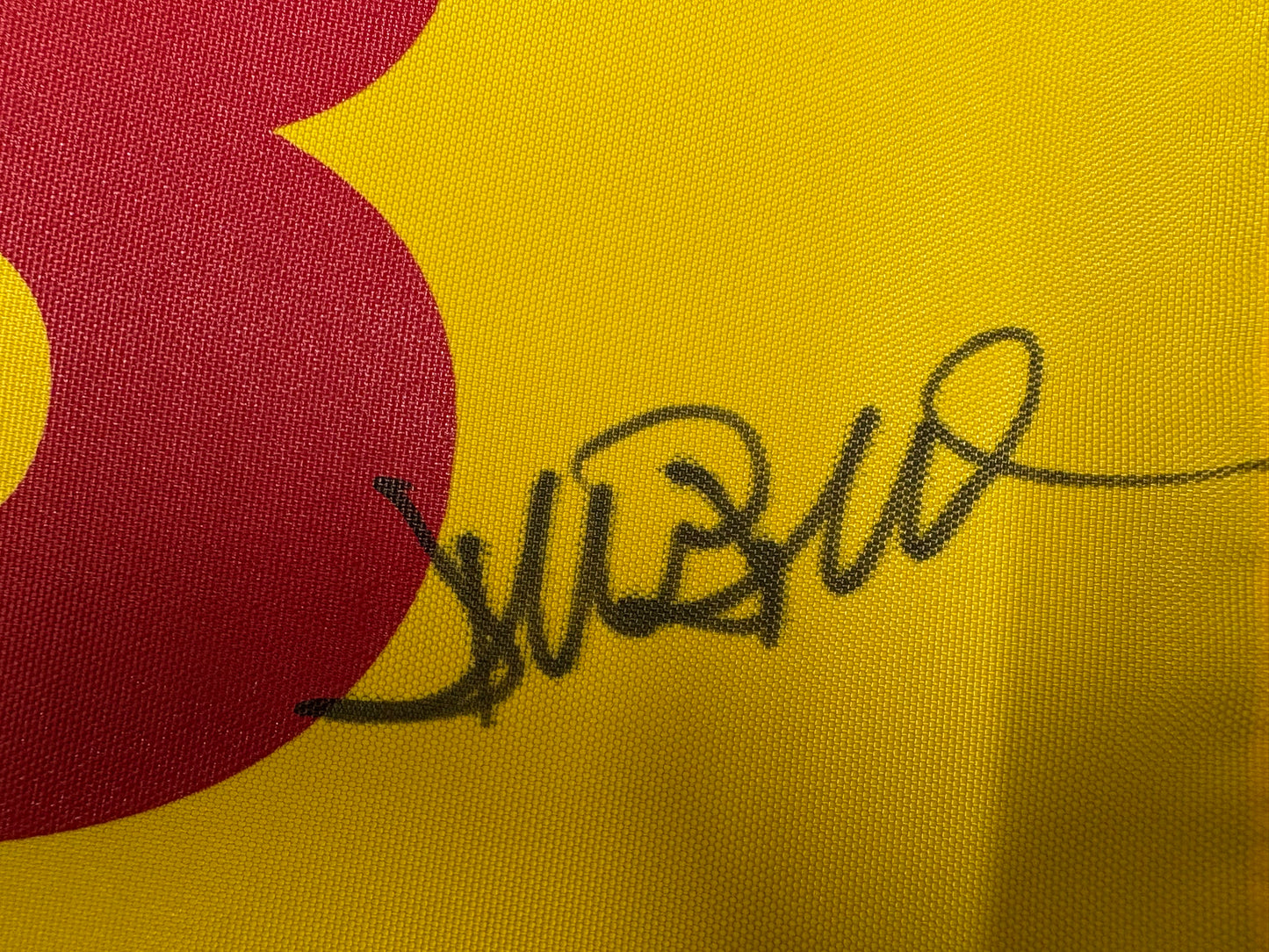 David Duval Winner Signed 2001 The Open at Royal Lytham & St Annes Golf Flag + Dealer COA