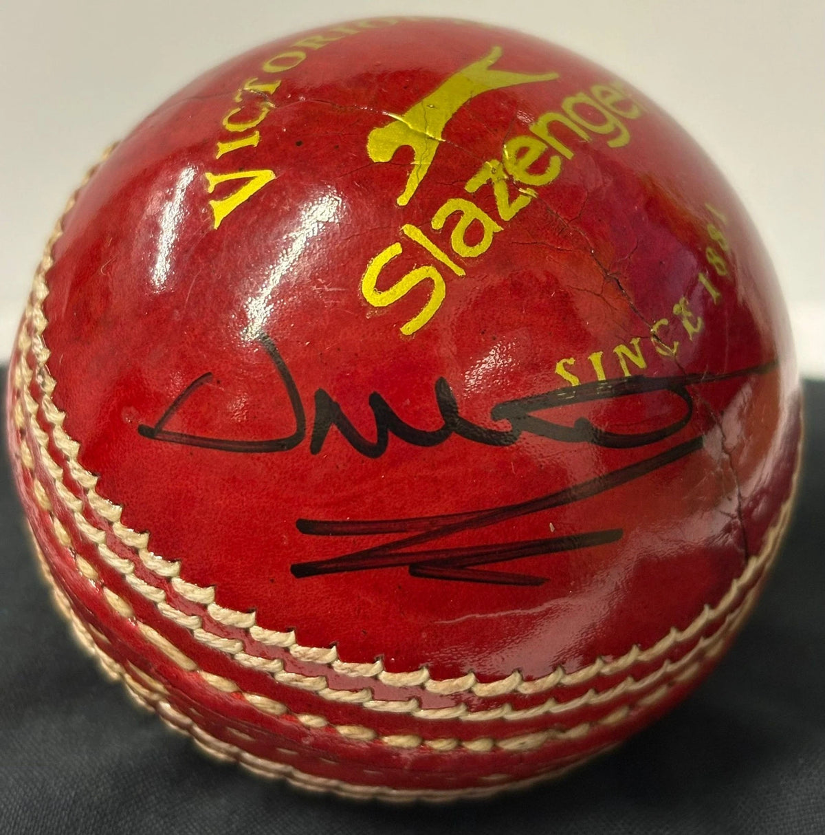 Darren Gough Former Yorkshire County Captain Signed Red Cricket Ball + Dealer COA