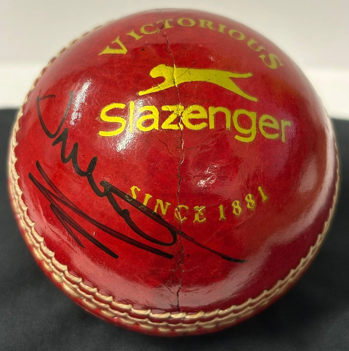 Darren Gough Former Yorkshire County Captain Signed Red Cricket Ball + Dealer COA