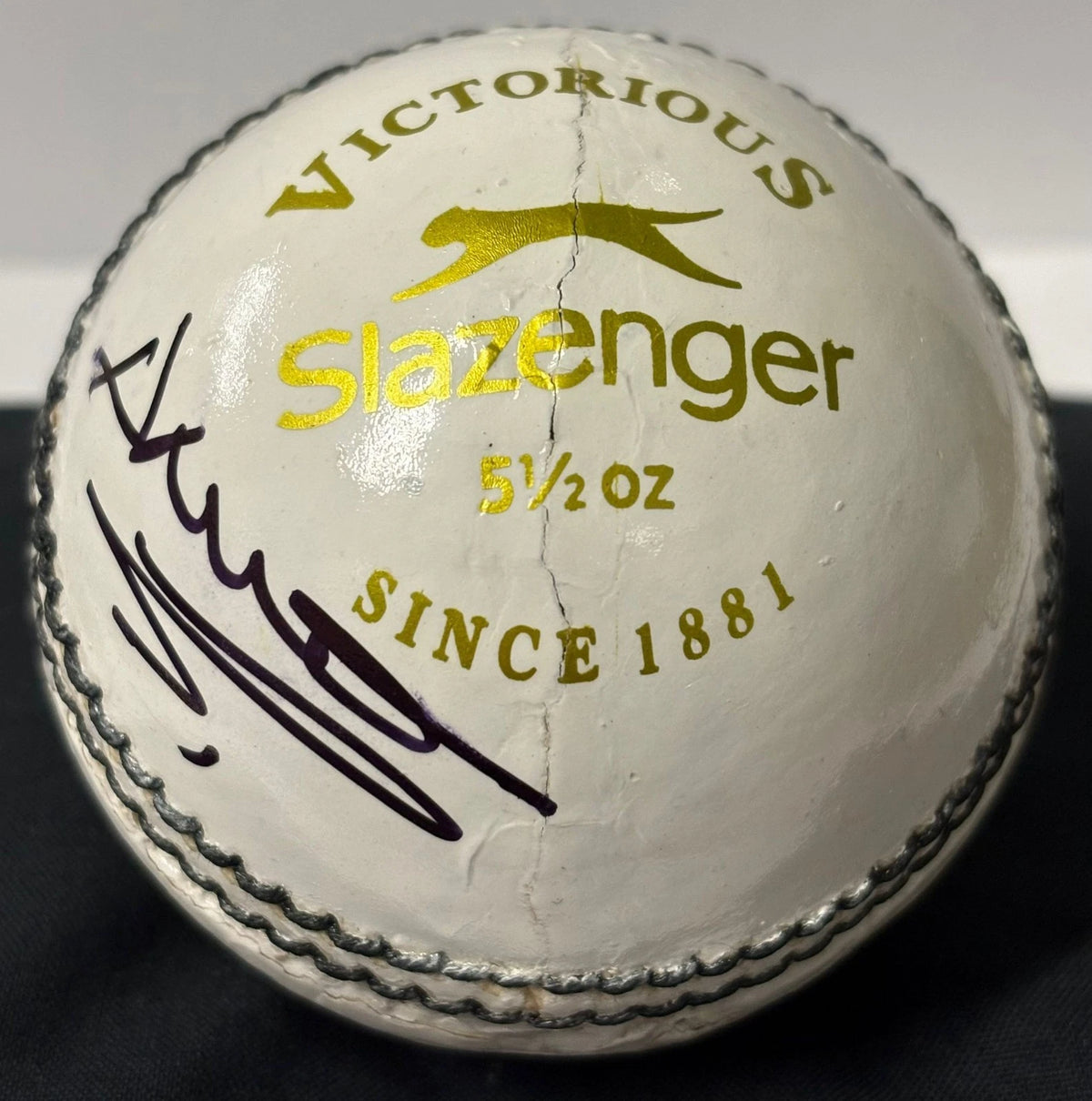 Darren Gough Former England Fast Bowler Signed White Cricket Ball + Dealer Cert